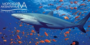  Скидка до 60% на экскурсию в океанариум