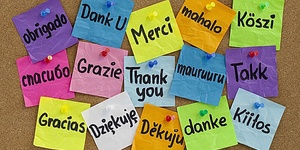 Одно занятие в языковом центре «Бигвиг»