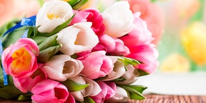 букет тюльпанов к 8 марта от партнера по акции: Компания 